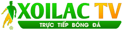 bảo vệ siêu sao của tôi